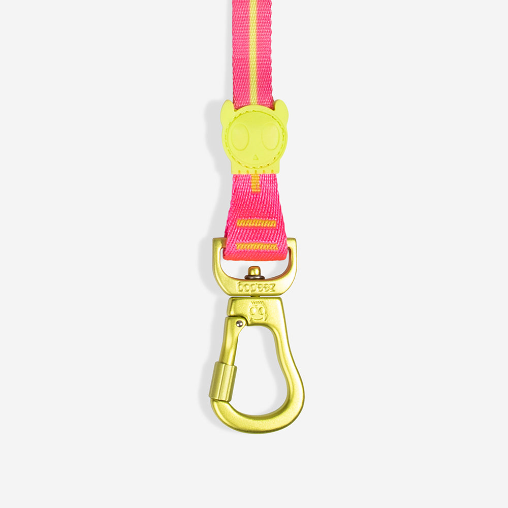 Drago | Long Leash 2.0