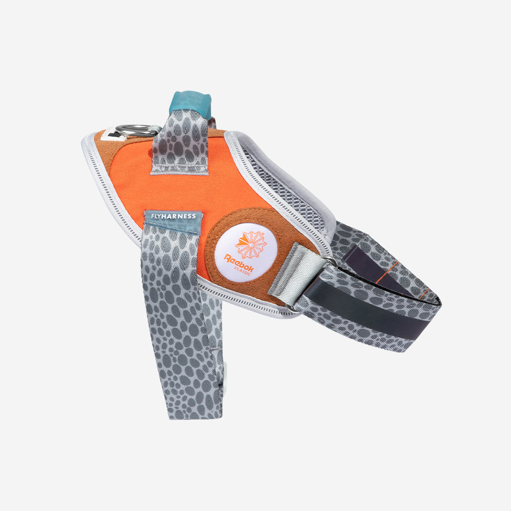 Reebok Suede | Flyharness – Zee.Dog