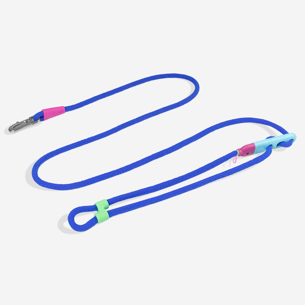 Reebok Aerobic | Hands-Free Leash – Zee.Dog