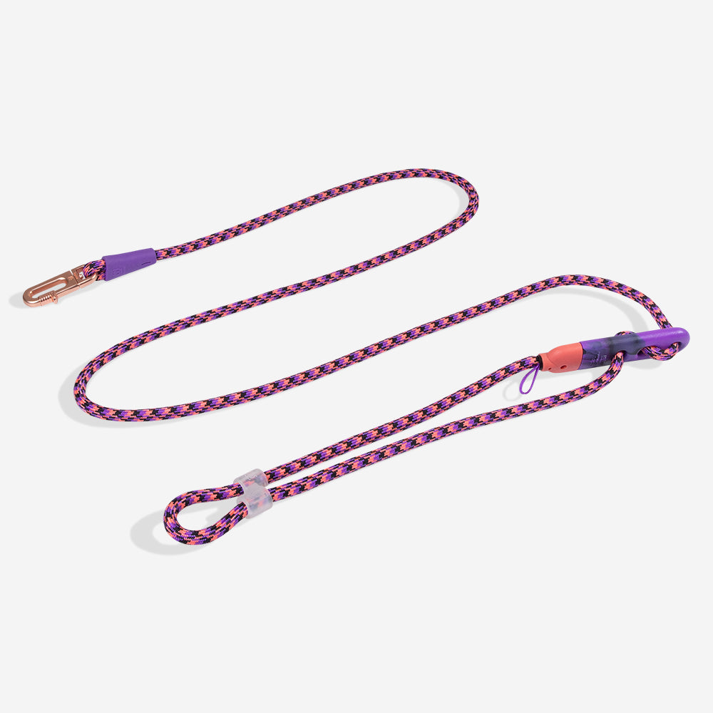 Reebok Court | Hands-Free Leash – Zee.Dog