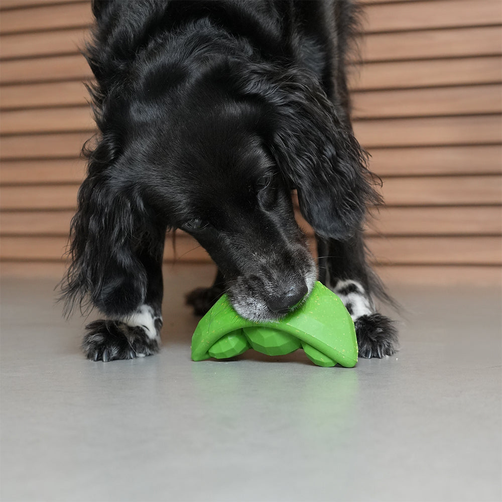 Green Bean | Treat Dispensing Dog Toy