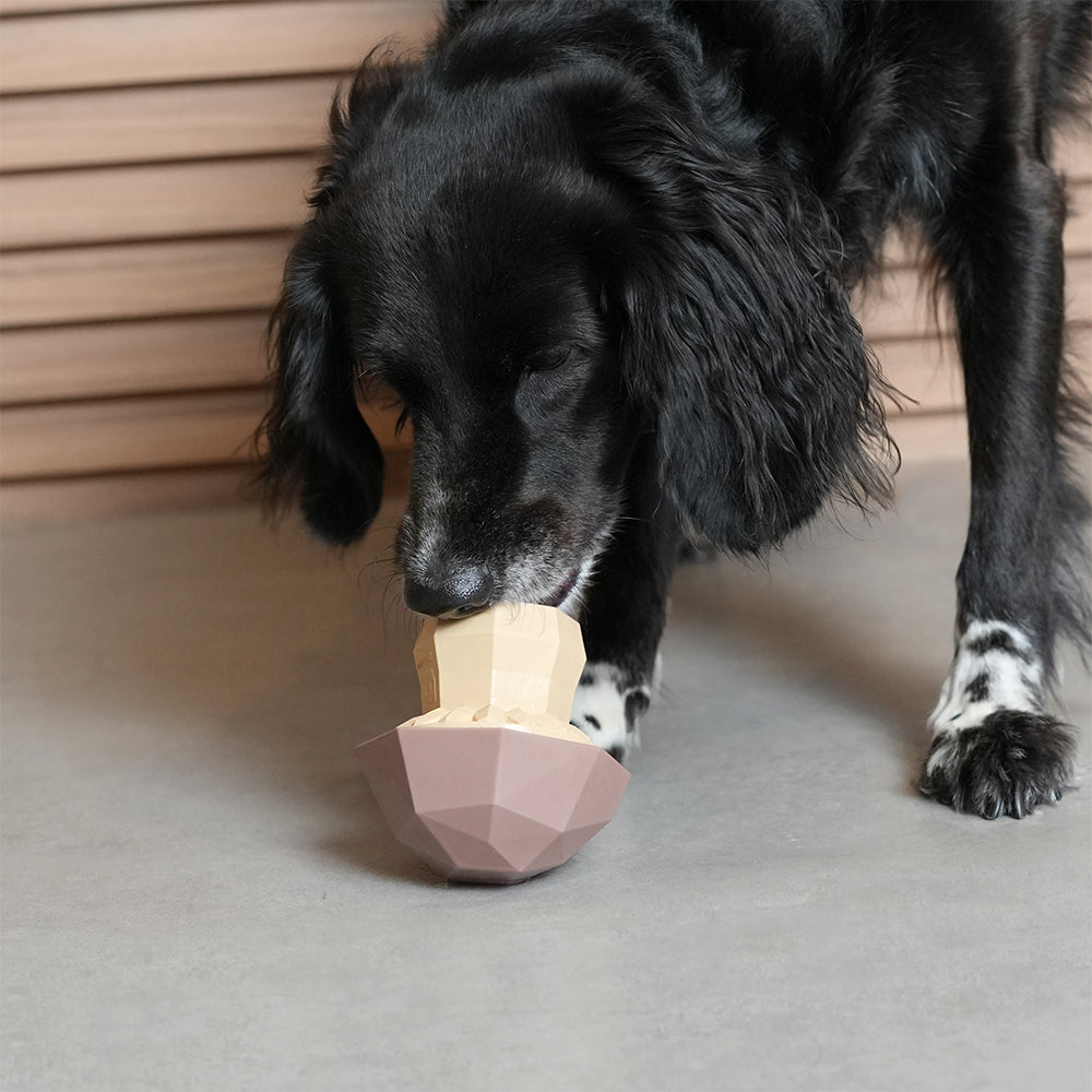 Mushroom | Treat Dispensing Dog Toy