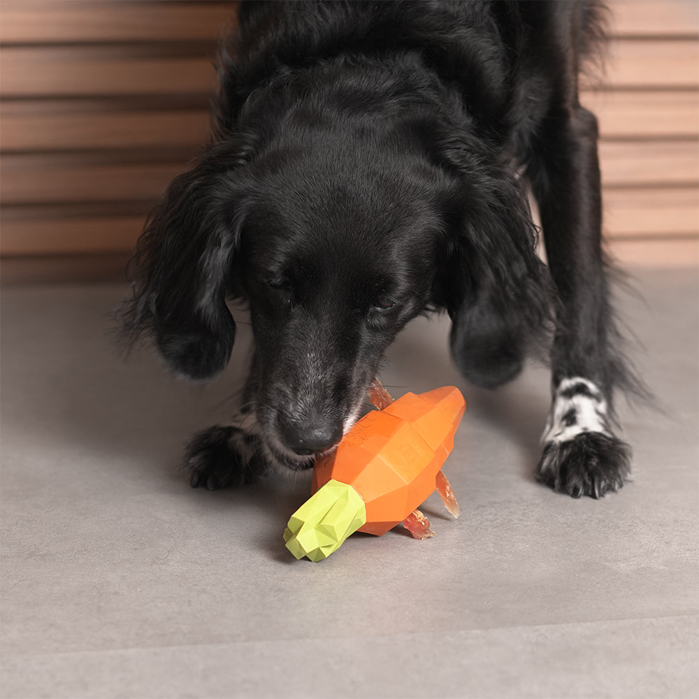 Carrot | Treat Dispensing Dog Toy
