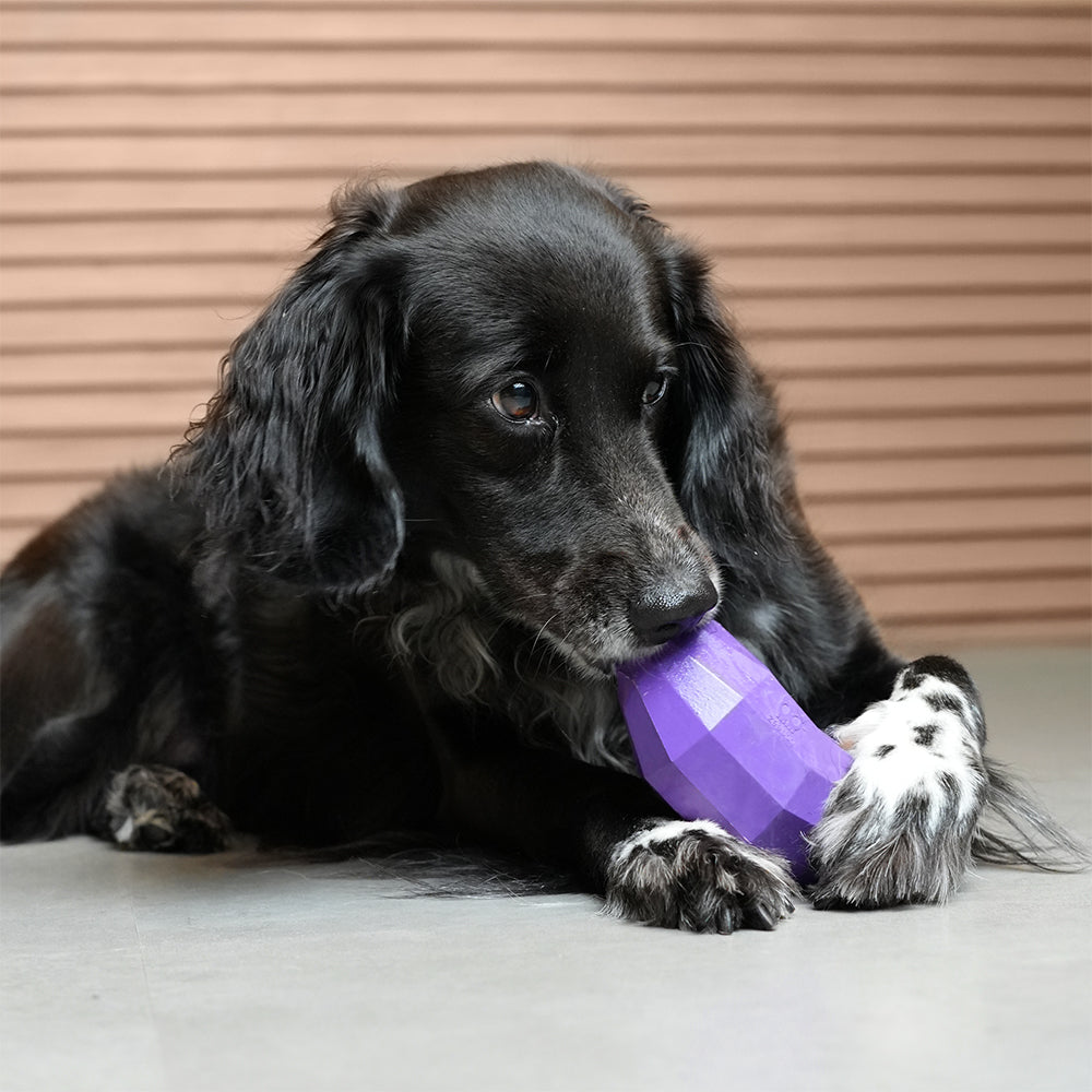 Eggplant | Treat Dispensing Dog Toy