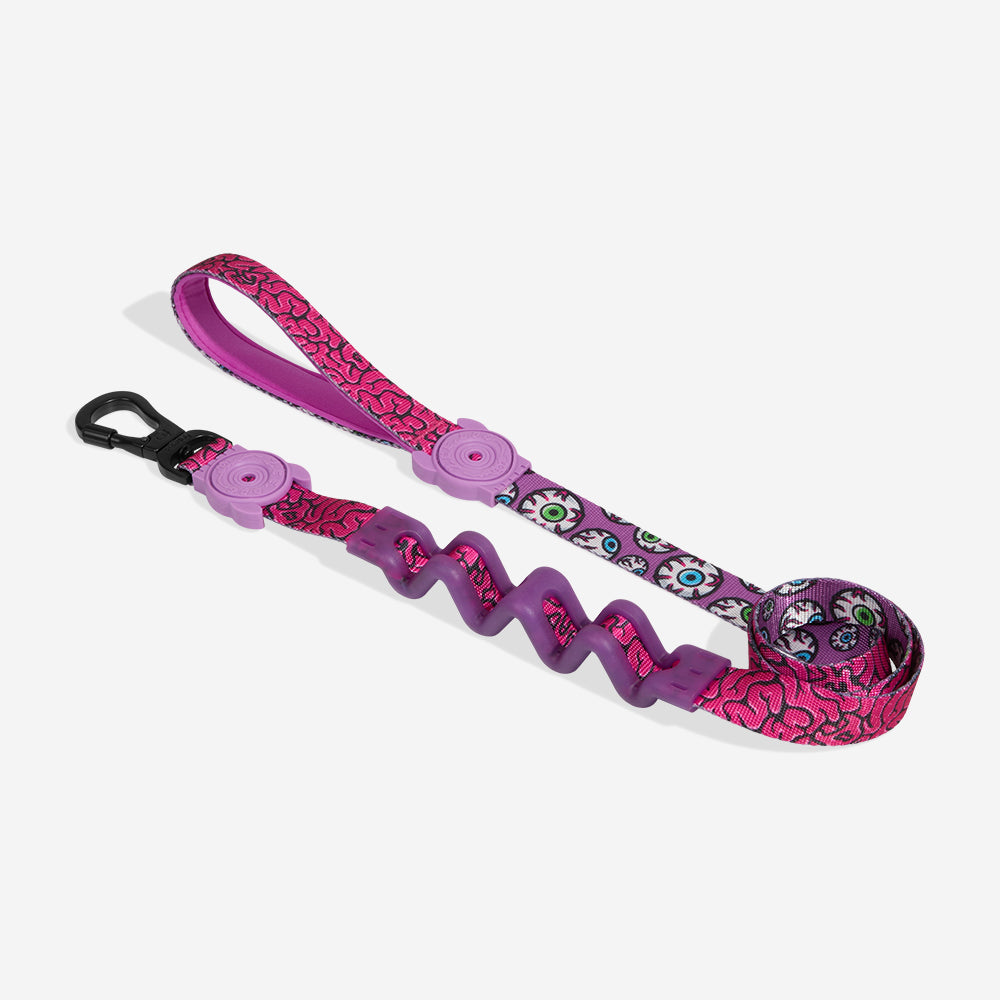 Award Winning Shock Absorbing Dog Leash Melted Ruff Leash by