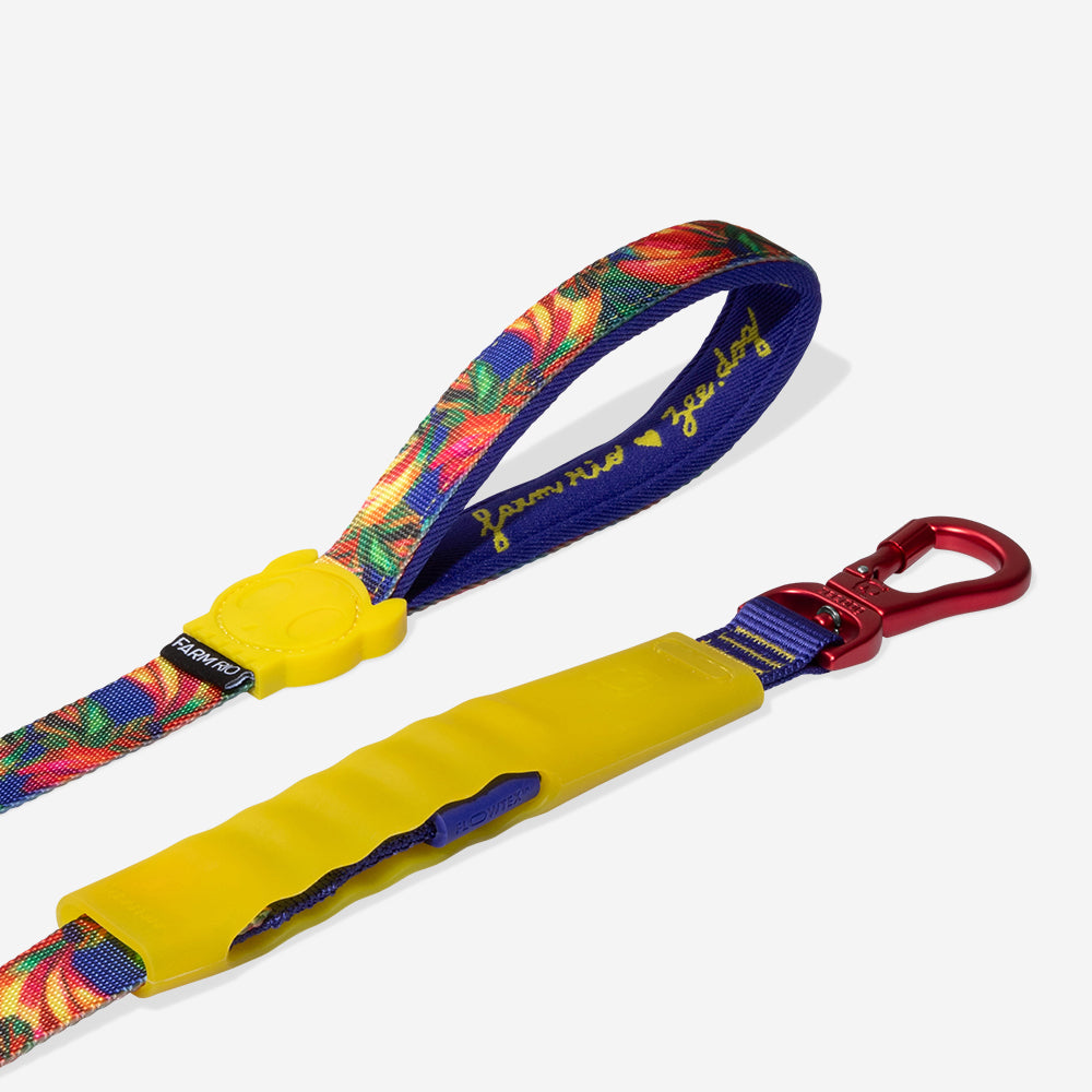 Samba | Airleash