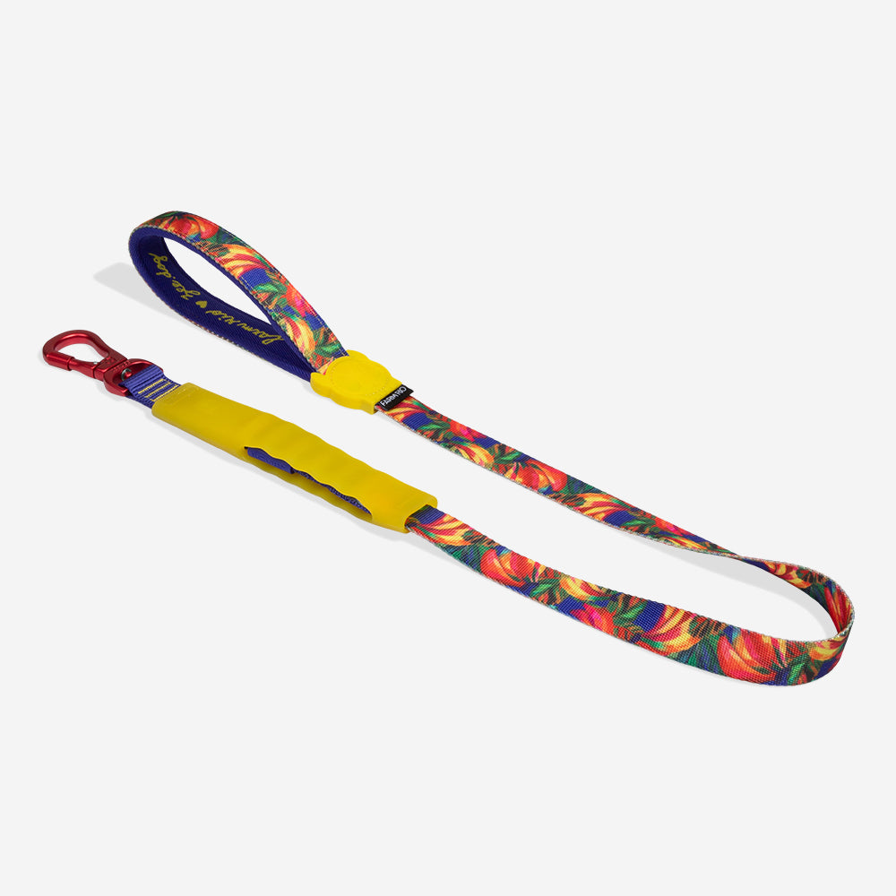 Samba | Airleash