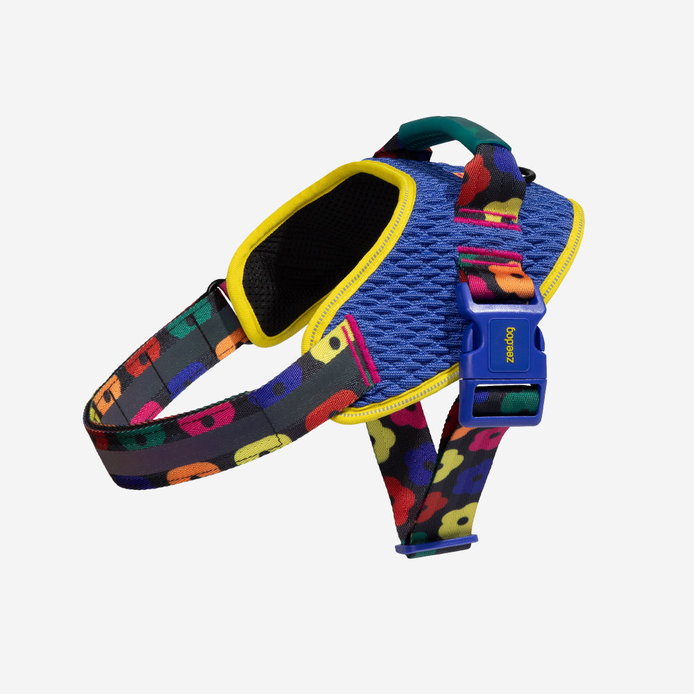 Samba | FlyHarness