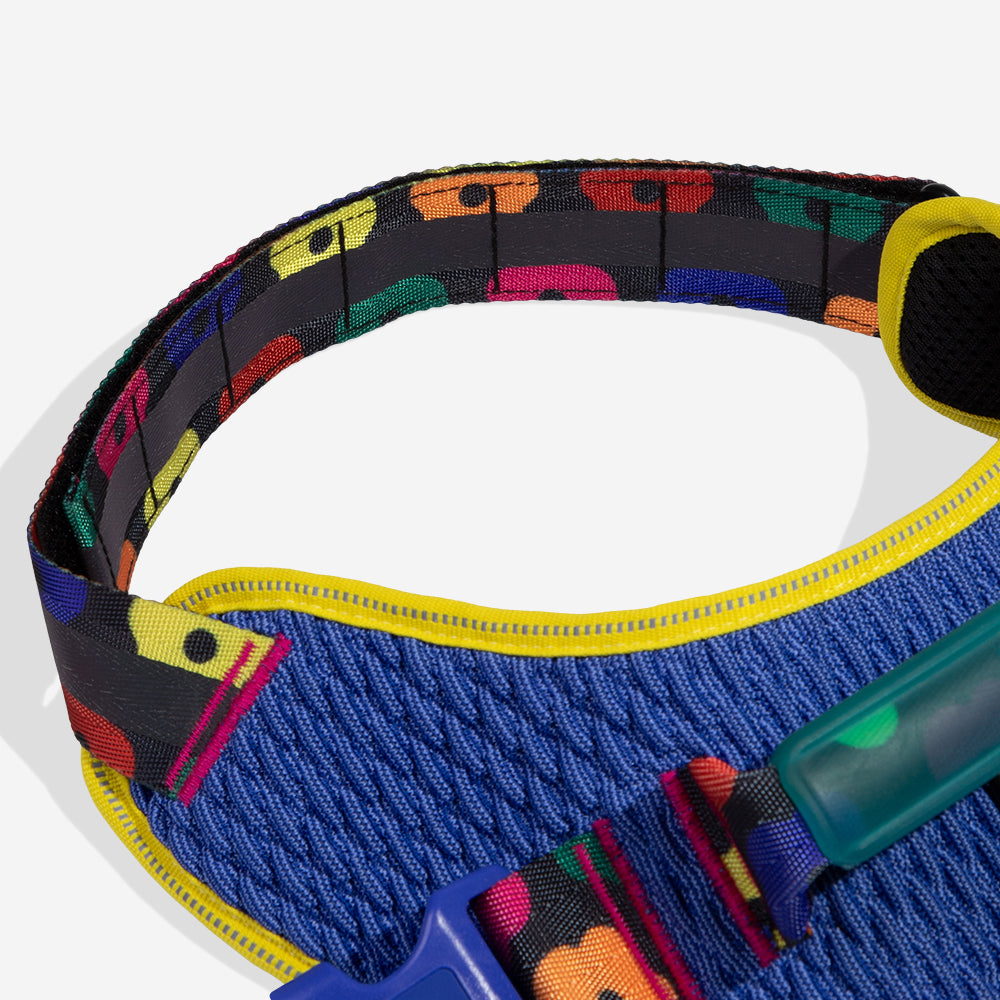 Samba | FlyHarness