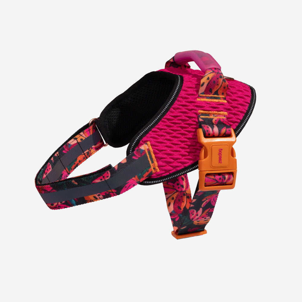 Selva | FlyHarness