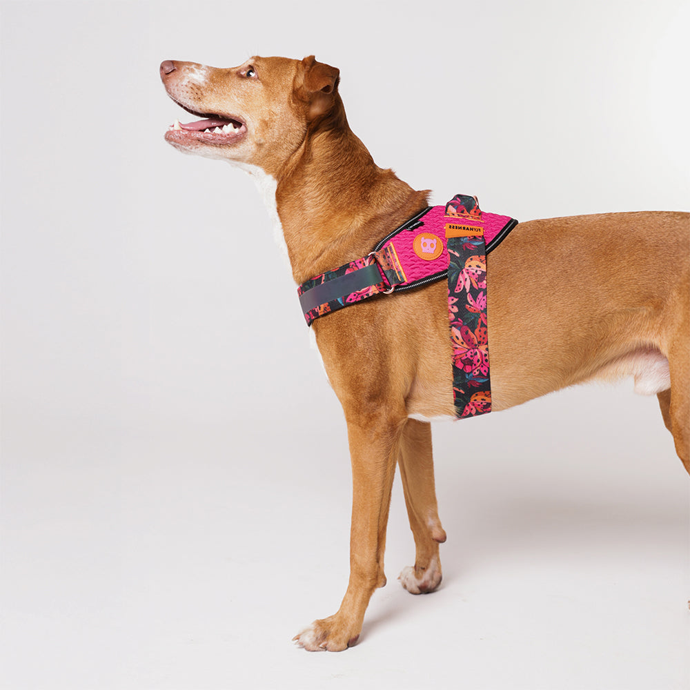 Selva | FlyHarness