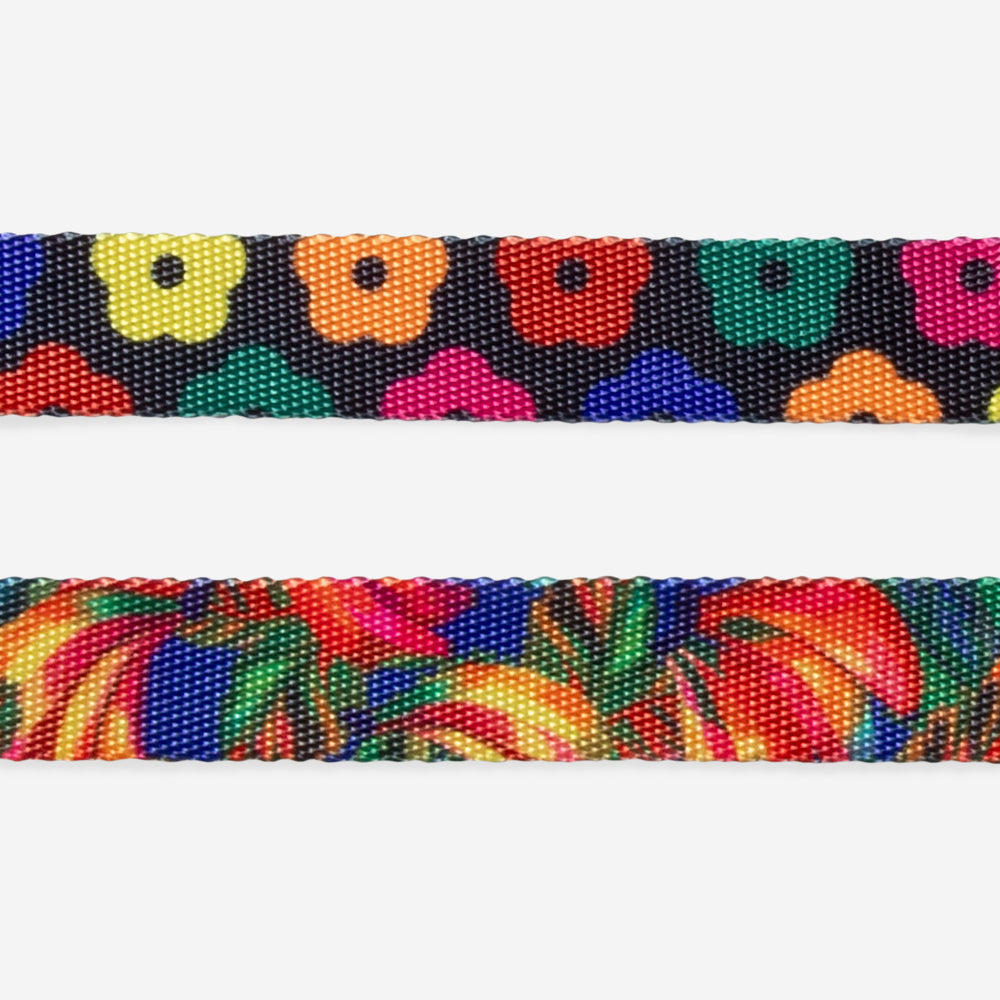 Samba | H Harness