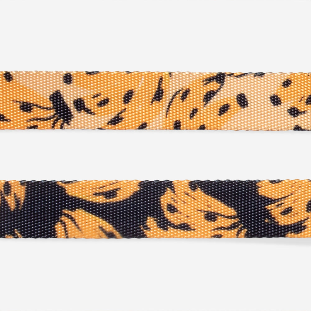 Bossa Banana | Cat Harness with Leash
