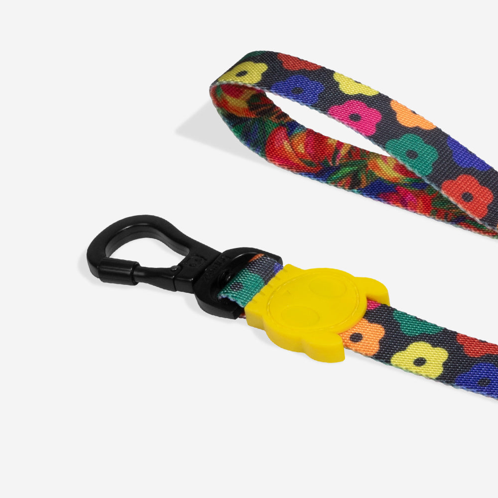 Samba | Leash
