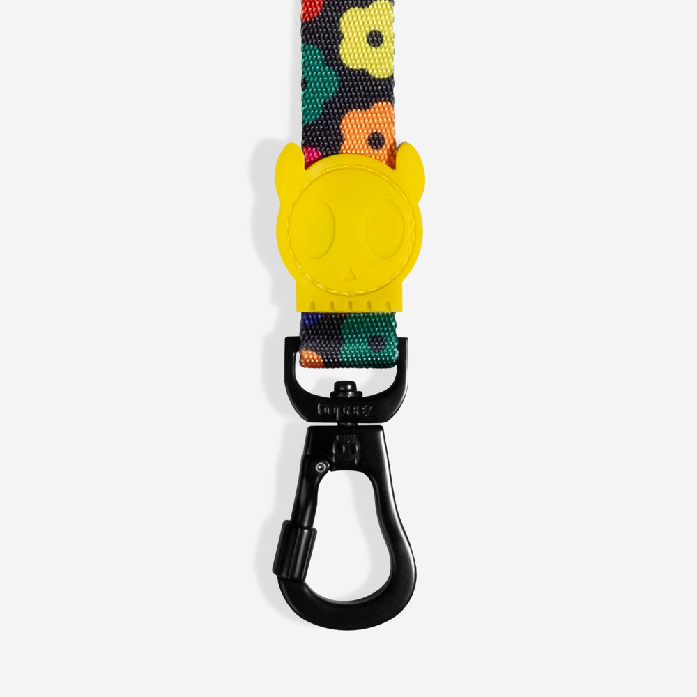 Samba | Leash