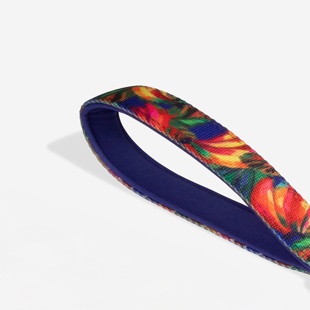 Samba | Ruff Leash 2.0