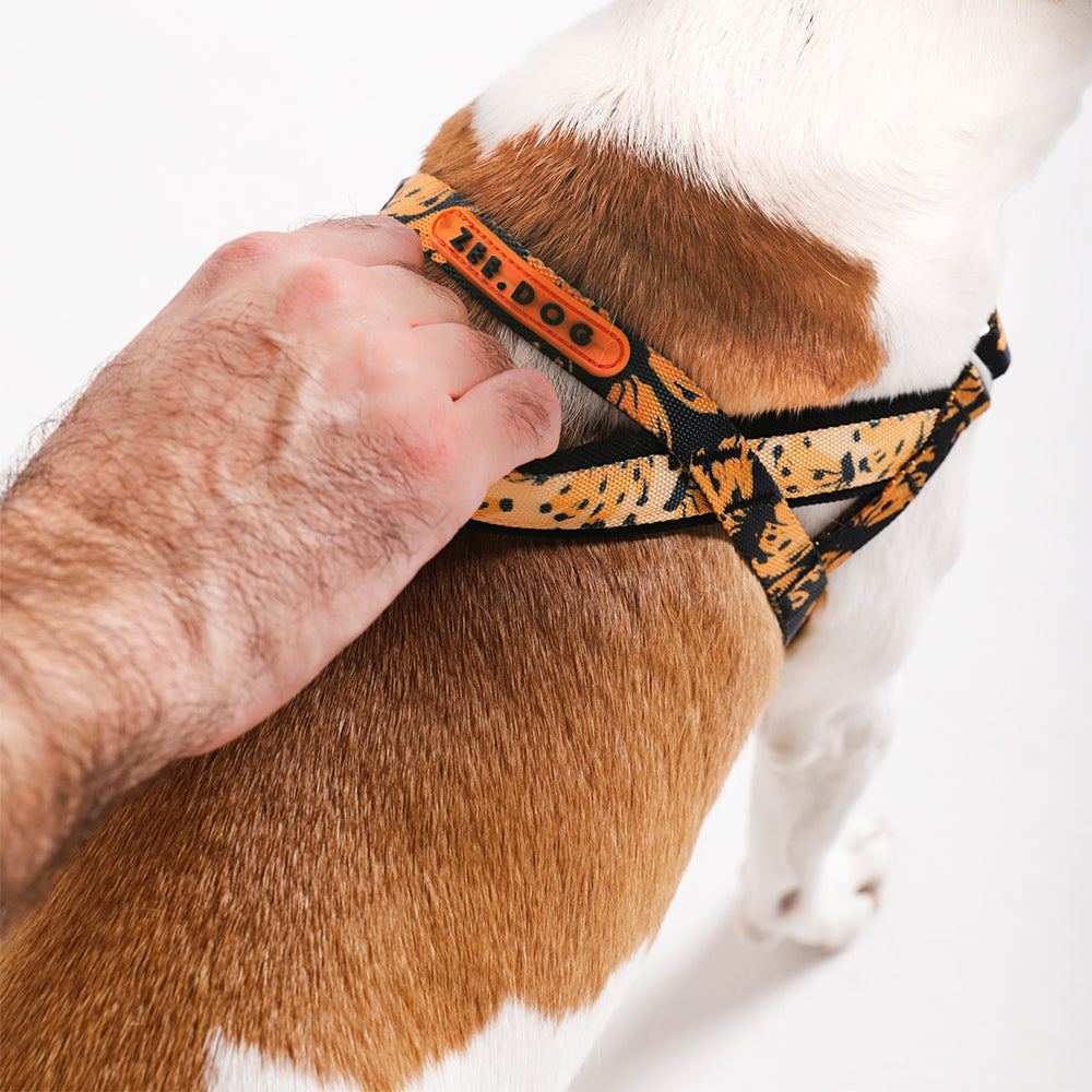 Bossa Banana | SofterWalk Harness