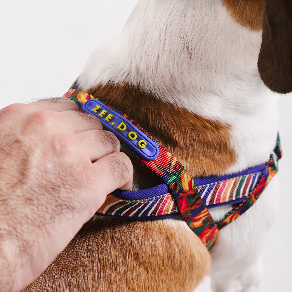 Samba | SofterWalk Harness