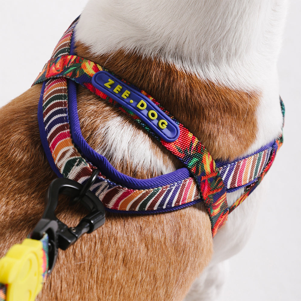 Samba | SofterWalk Harness