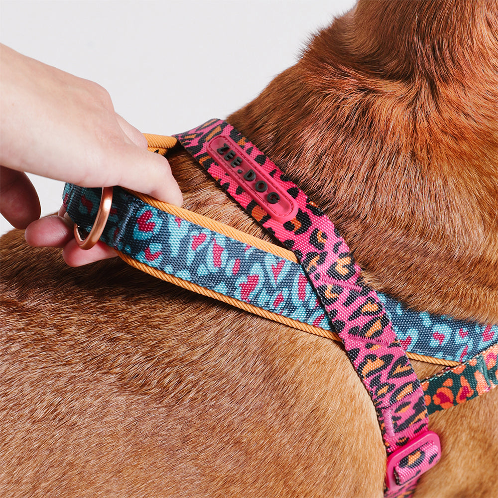 Selva | SofterWalk Harness