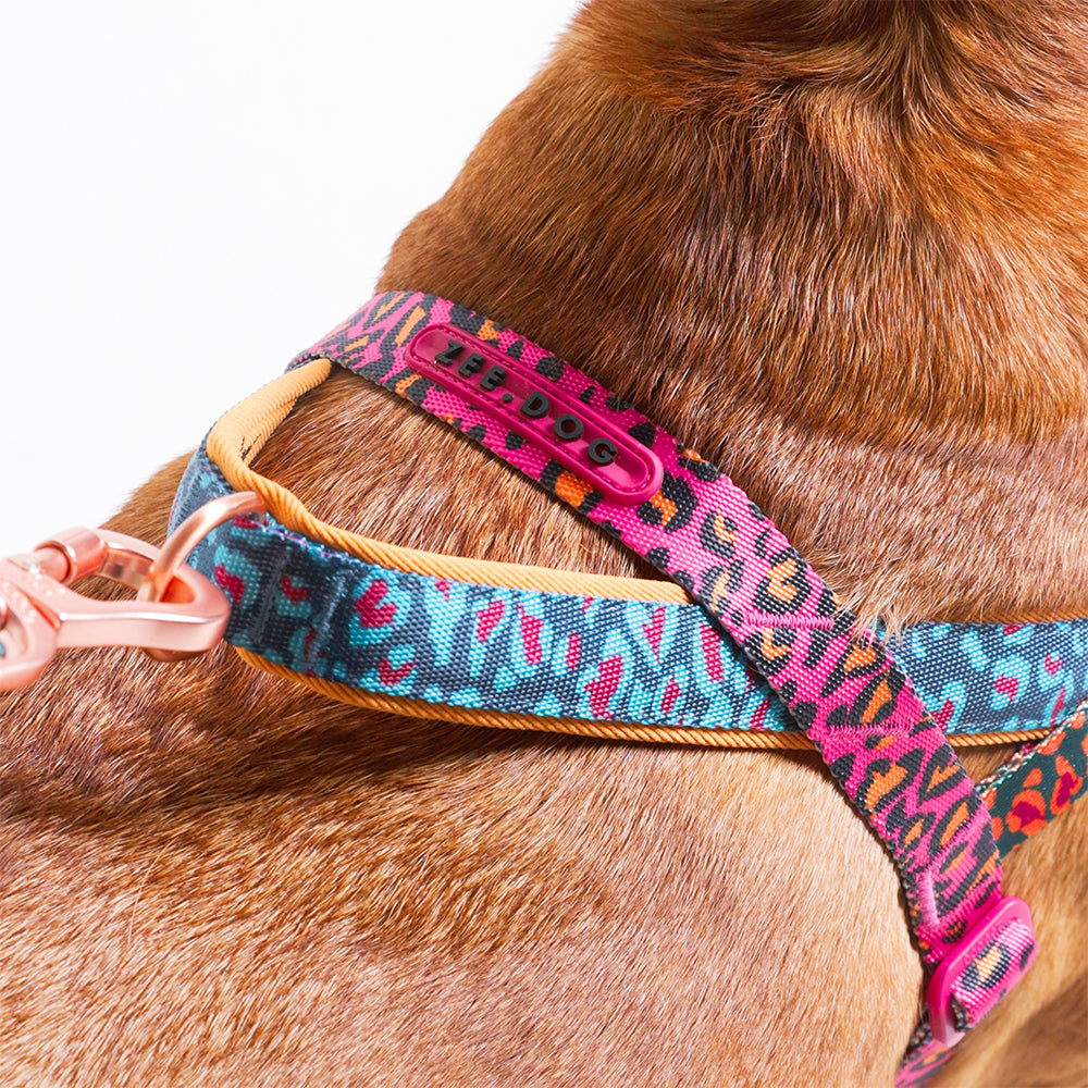 Selva | SofterWalk Harness