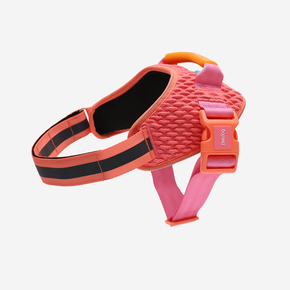 Gazelle | FlyHarness