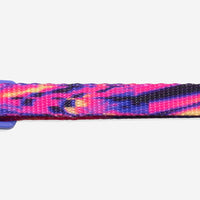 Error #500 | Cat Collar