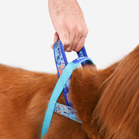 Error #404 | SofterWalk Harness