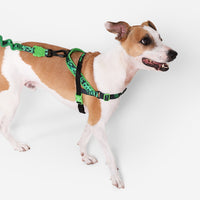 Error #410 | SofterWalk Harness