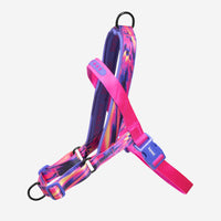 Error #500 | SofterWalk Harness