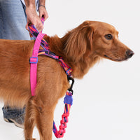 Error #500 | SofterWalk Harness