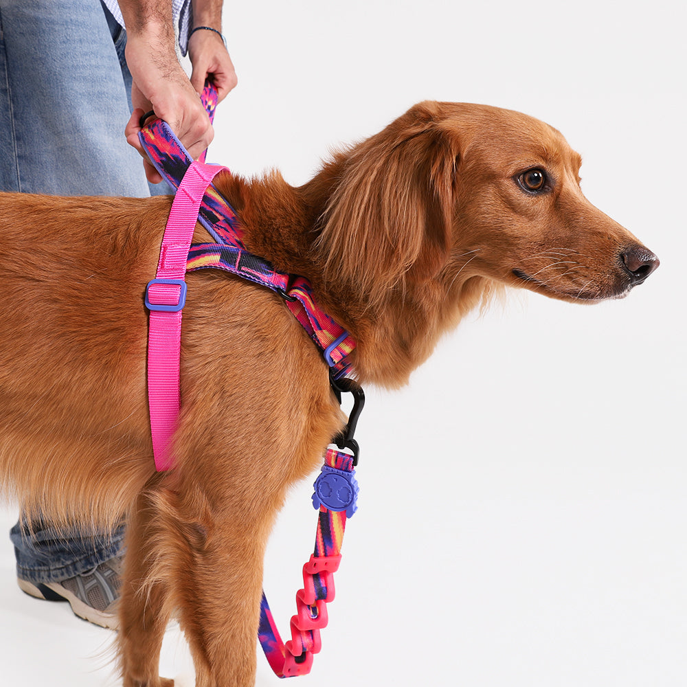 Error #500 | SofterWalk Harness
