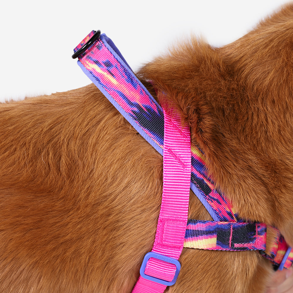 Error #500 | SofterWalk Harness