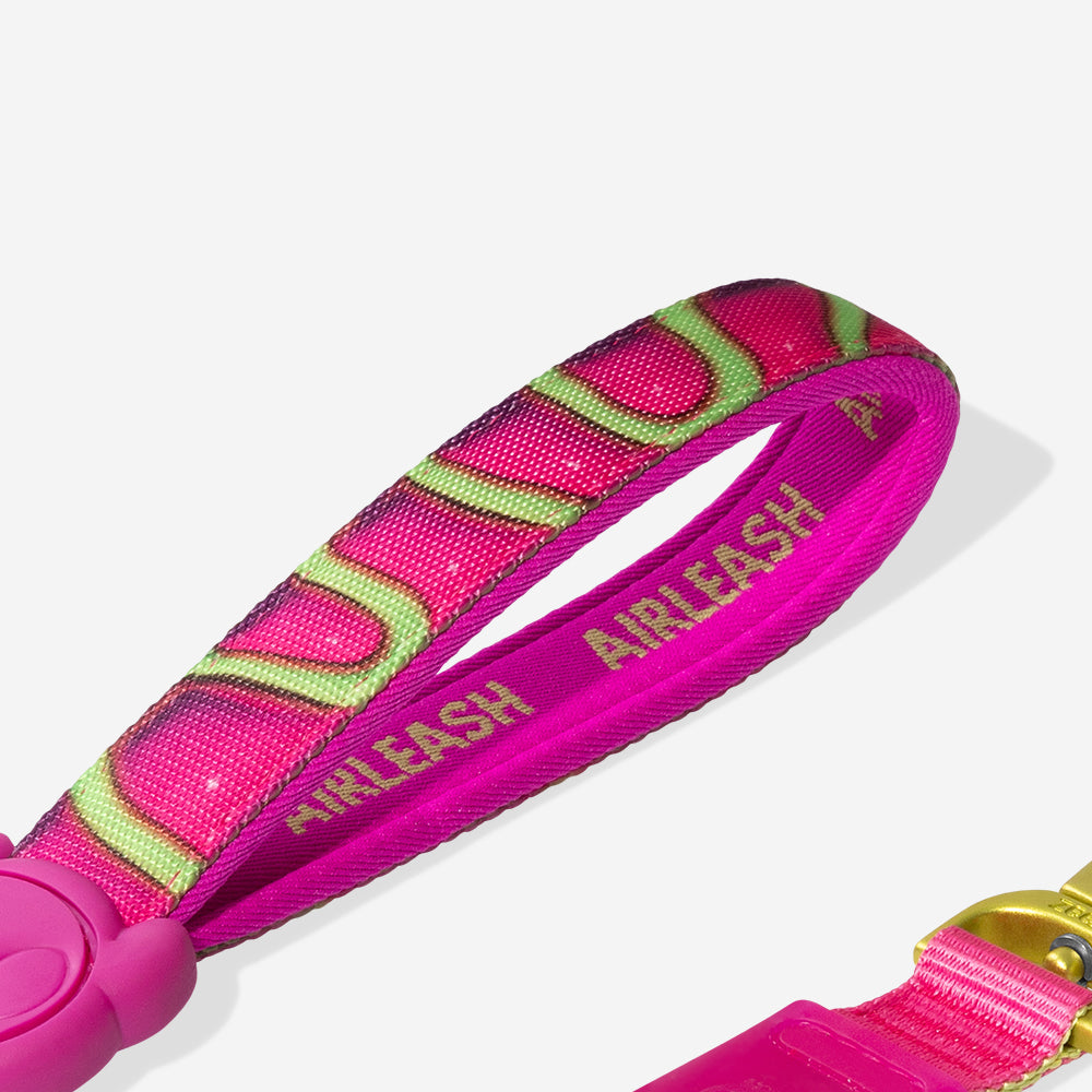 H3D Jelly | Airleash