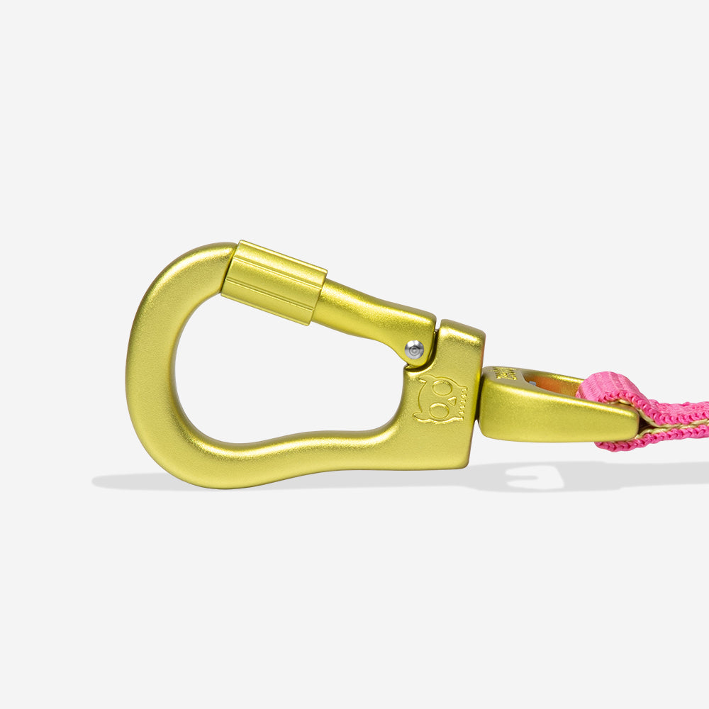 H3D Jelly | Airleash