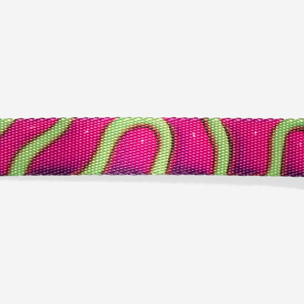 H3D Jelly | Cat Collar