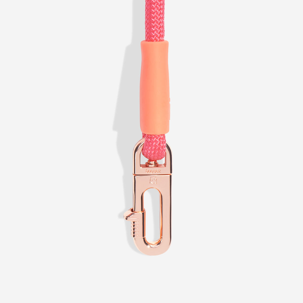 Gazelle | Hands-Free Leash