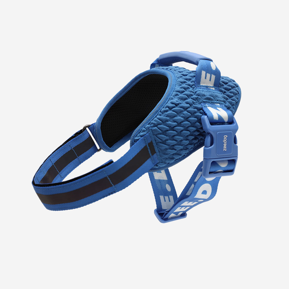 Slam Dunk | FlyHarness