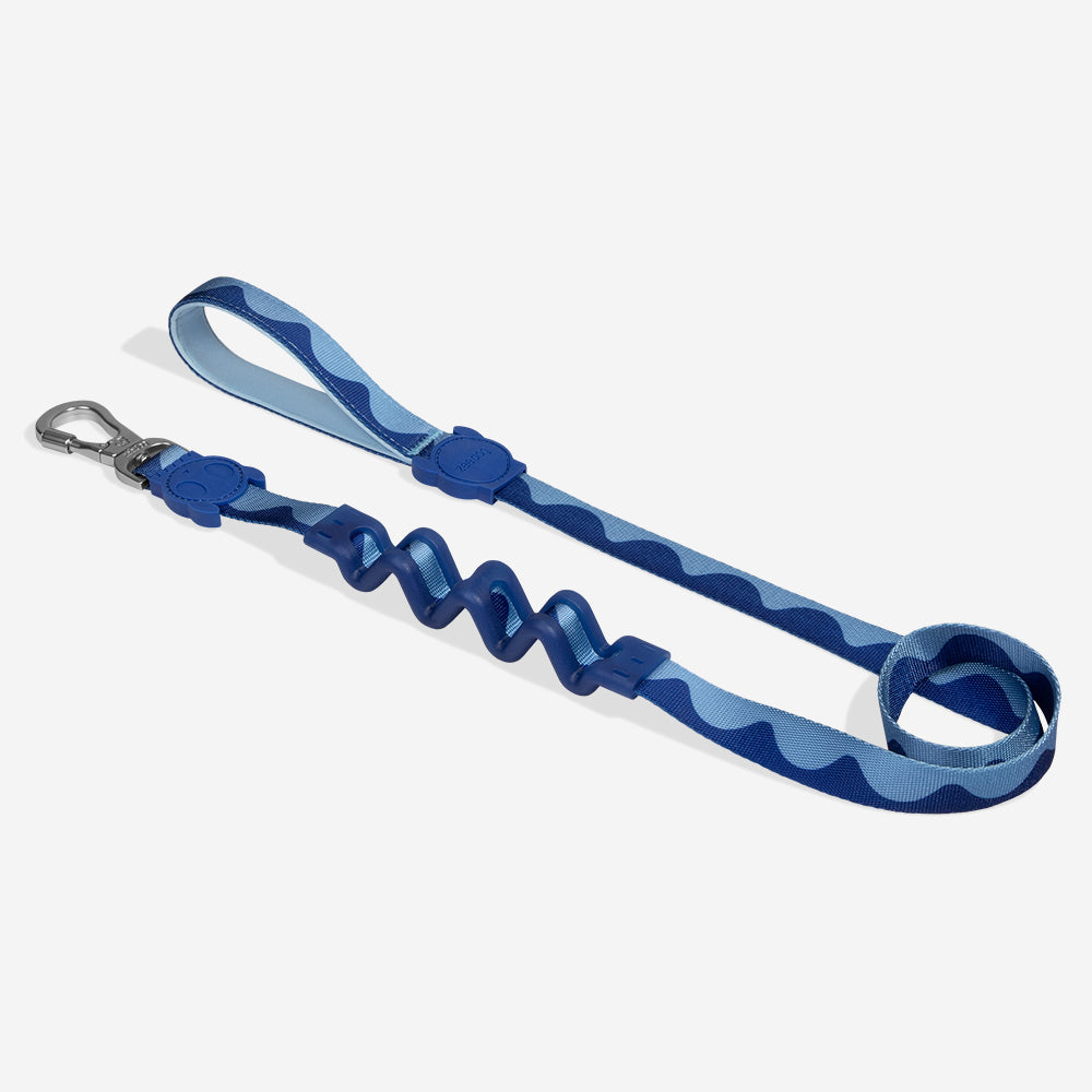 Award Winning Shock Absorbing Dog Leash Swell Ruff Leash by