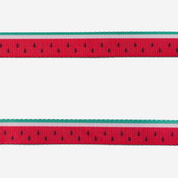 Lola | Cat Harness with Leash