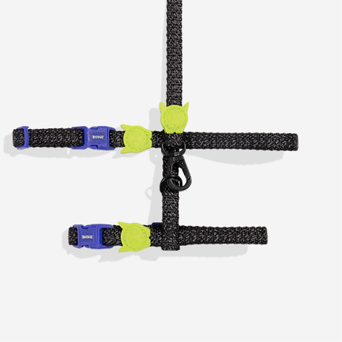 NOX | Cat Harness with Leash