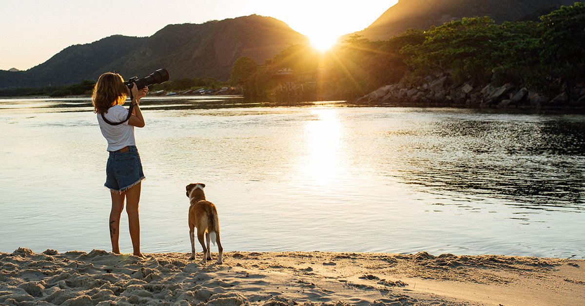 Zee.Dog | Connecting Dogs and People