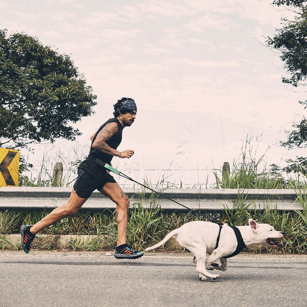 Running Belt | Zee.Run