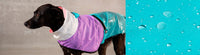 Zee.Dog Bel Air Raincoat