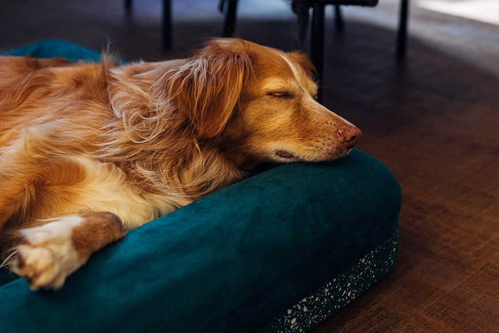 Zee.Dog Green Bed Cover