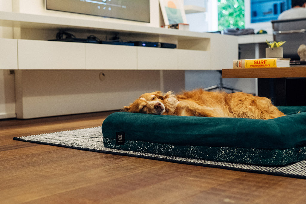 Zee.Dog Green Bed Cover