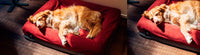 Burgundy | Bed Cover