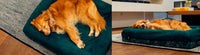 Zee.Dog Green Bed Cover