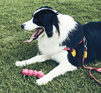 Alien Flex Space Station | Dog Toy