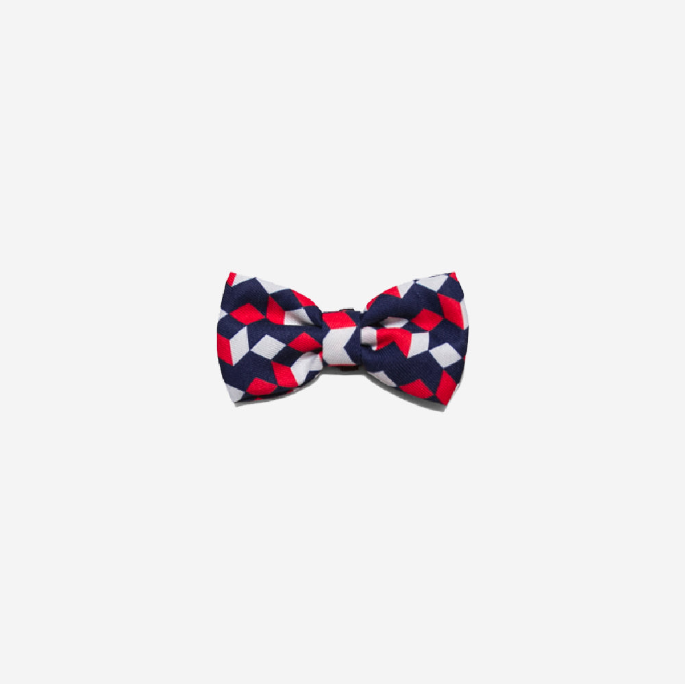 Mr Scooter | Dog Bow Tie